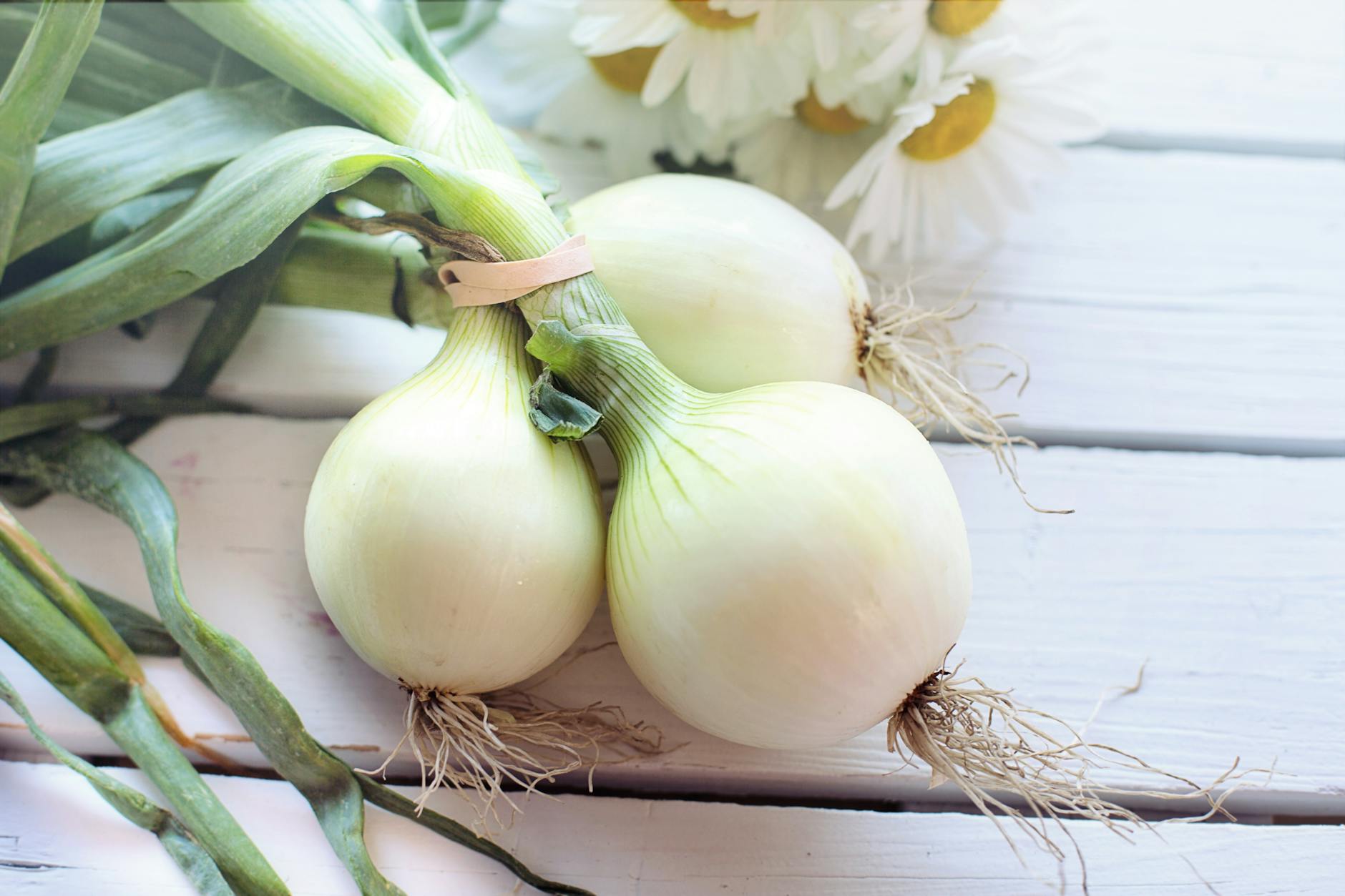 white onions