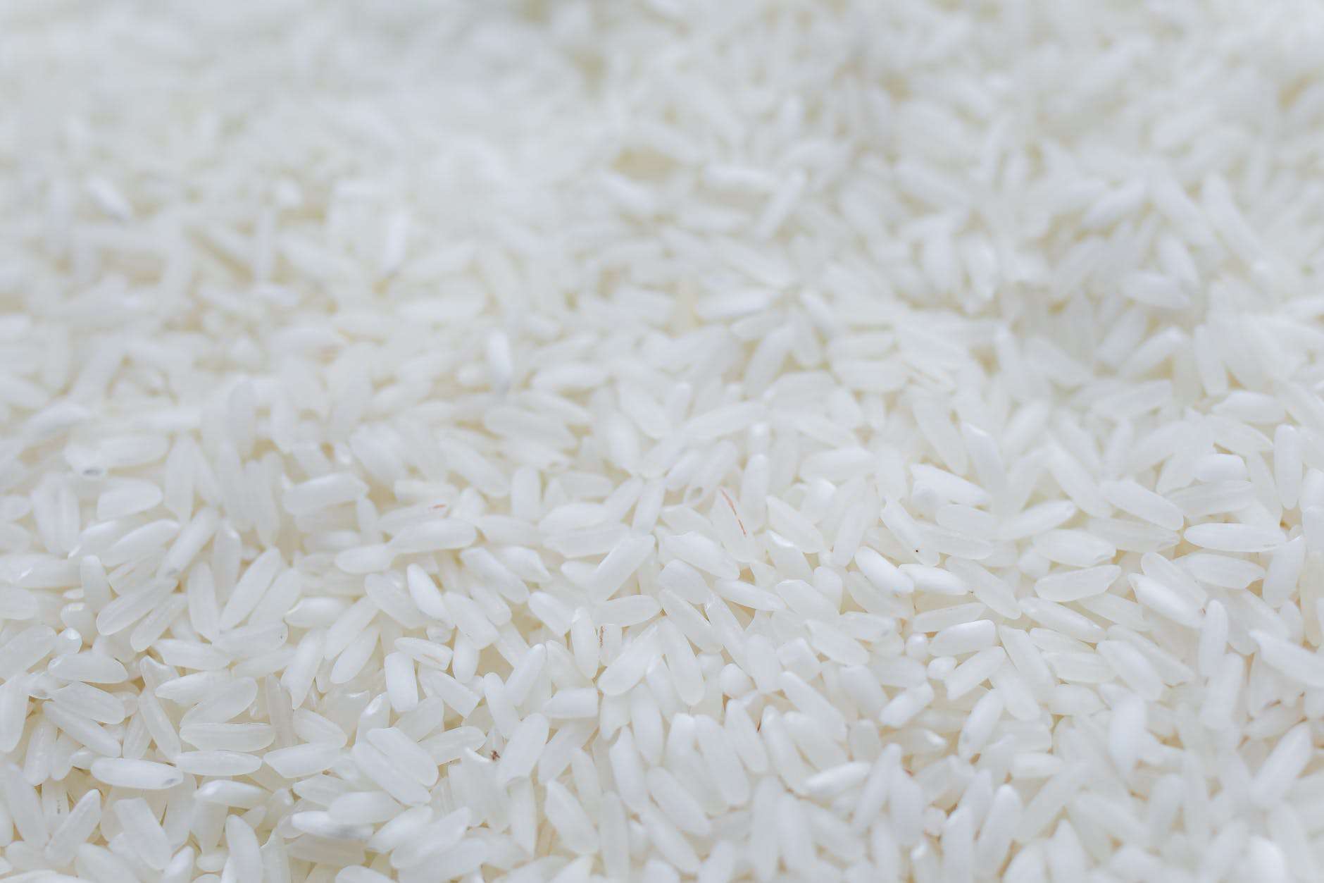 close up photo of white rice grains