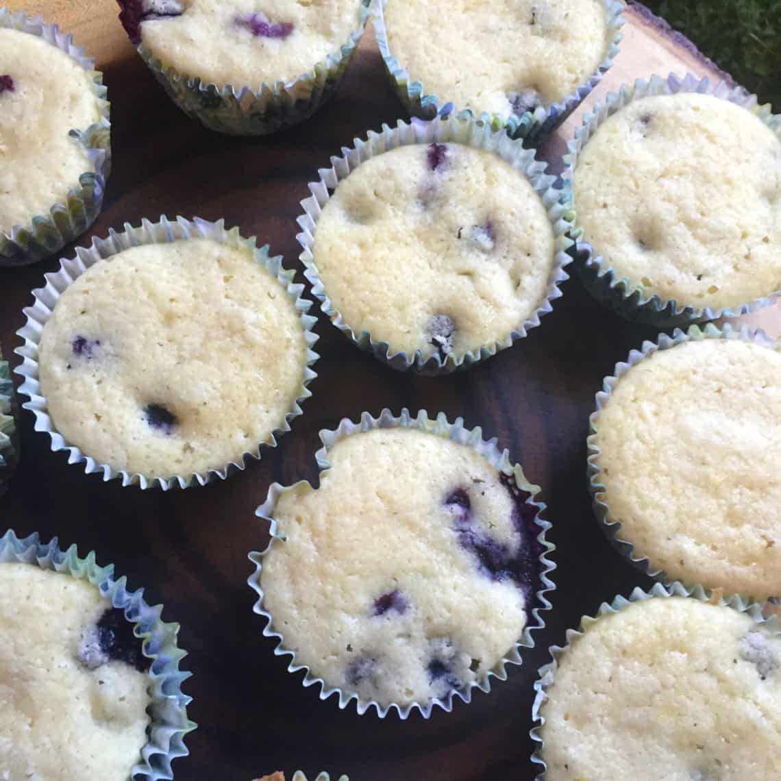 Low Carb Blueberry Muffins - FlyPeachPie