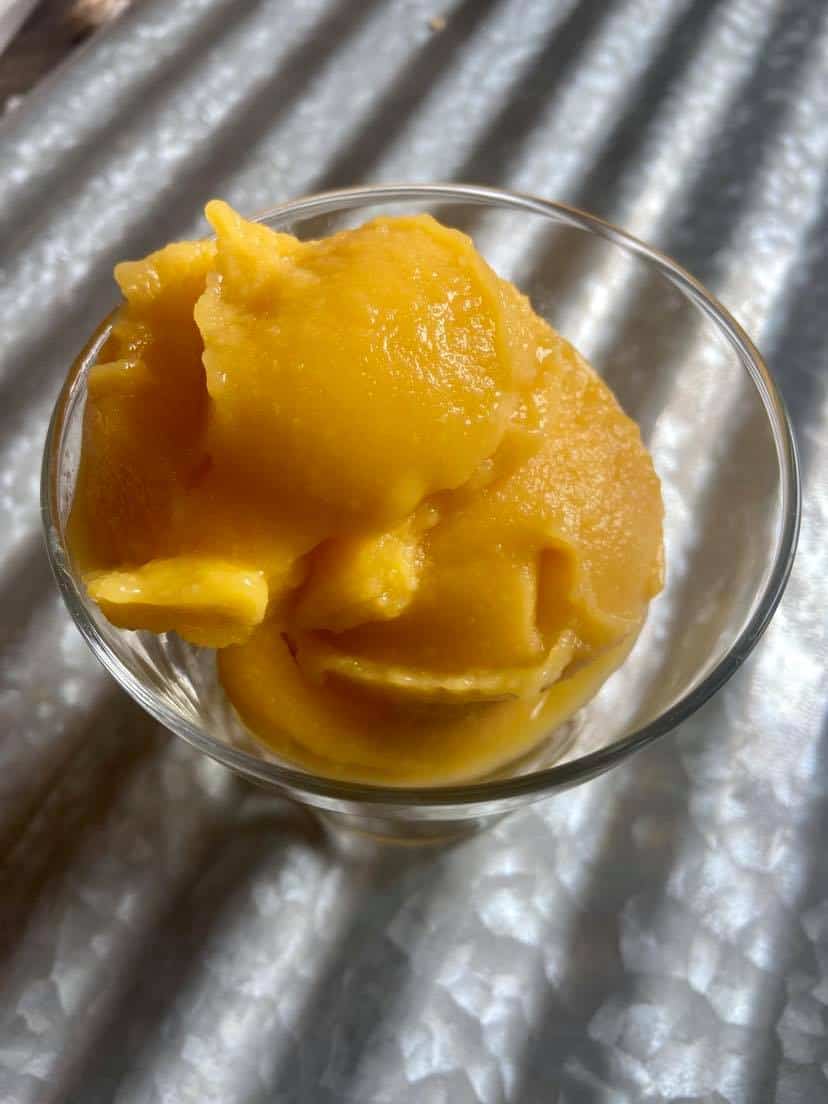 jeg lytter til musik Ekspedient Vent et øjeblik Easy Mango Sorbet - FlyPeachPie