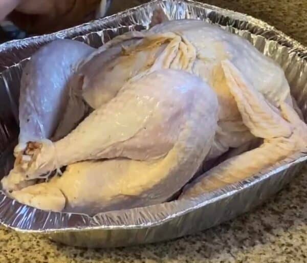 Cactus Cooler Turkey Brine FlyPeachPie