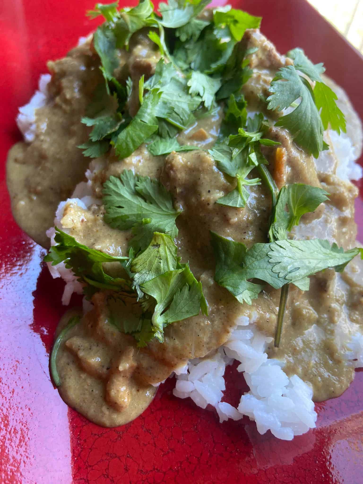 Instant Pot Lamb Coconut Korma FlyPeachPie