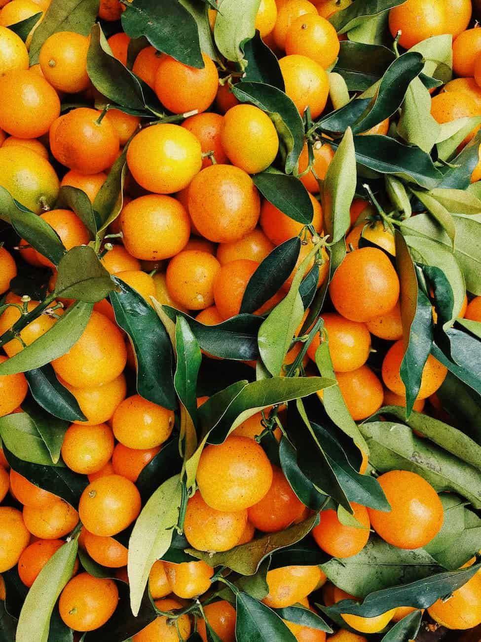 photo of pile of oranges Photo by julie aagaard on Pexels.com